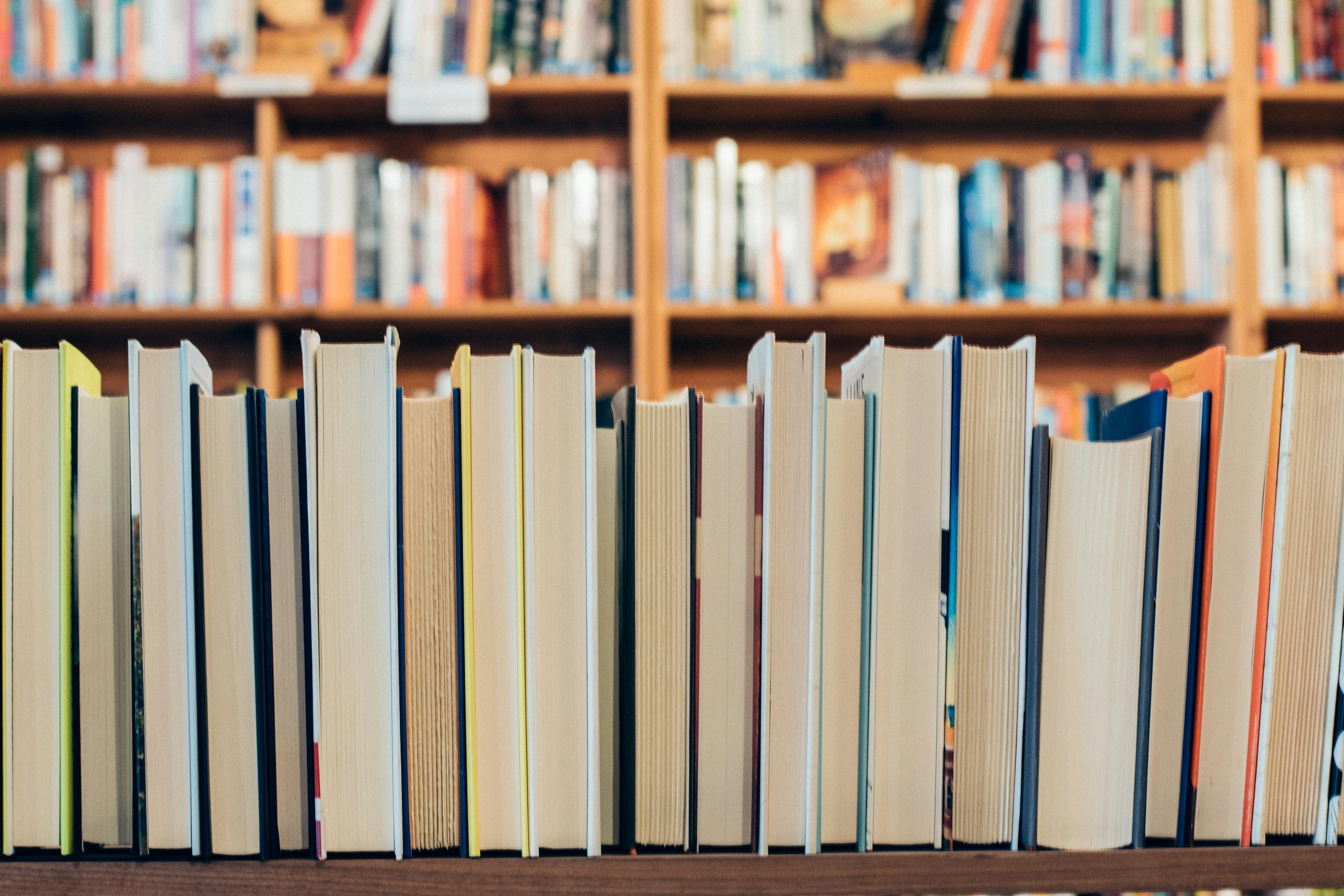 Books lined up on a shelf, page side of the upright books facing the viewer.