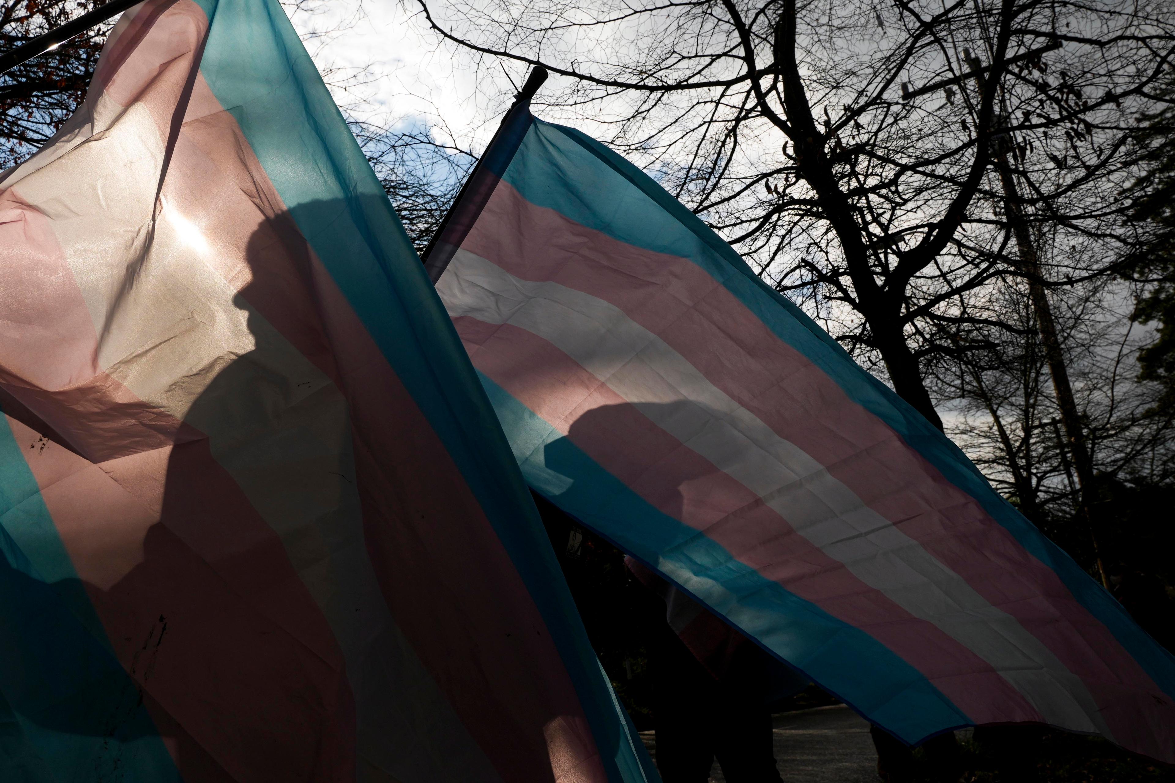 Protestors are silhouetted against trans pride flags