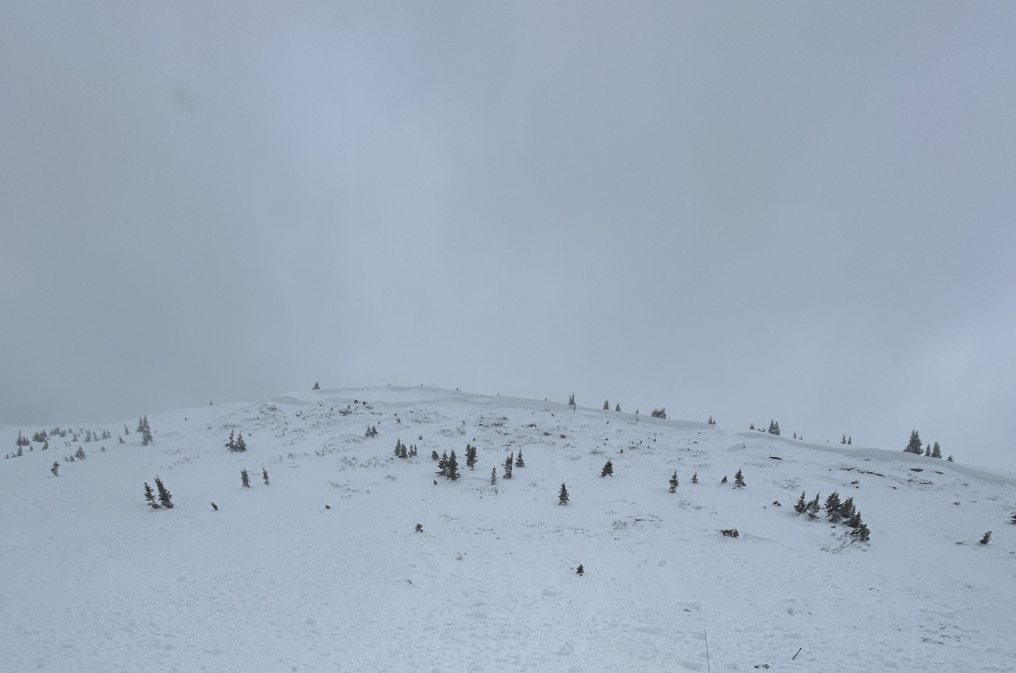 An avalanche in Shine Bowl, near Vail Pass