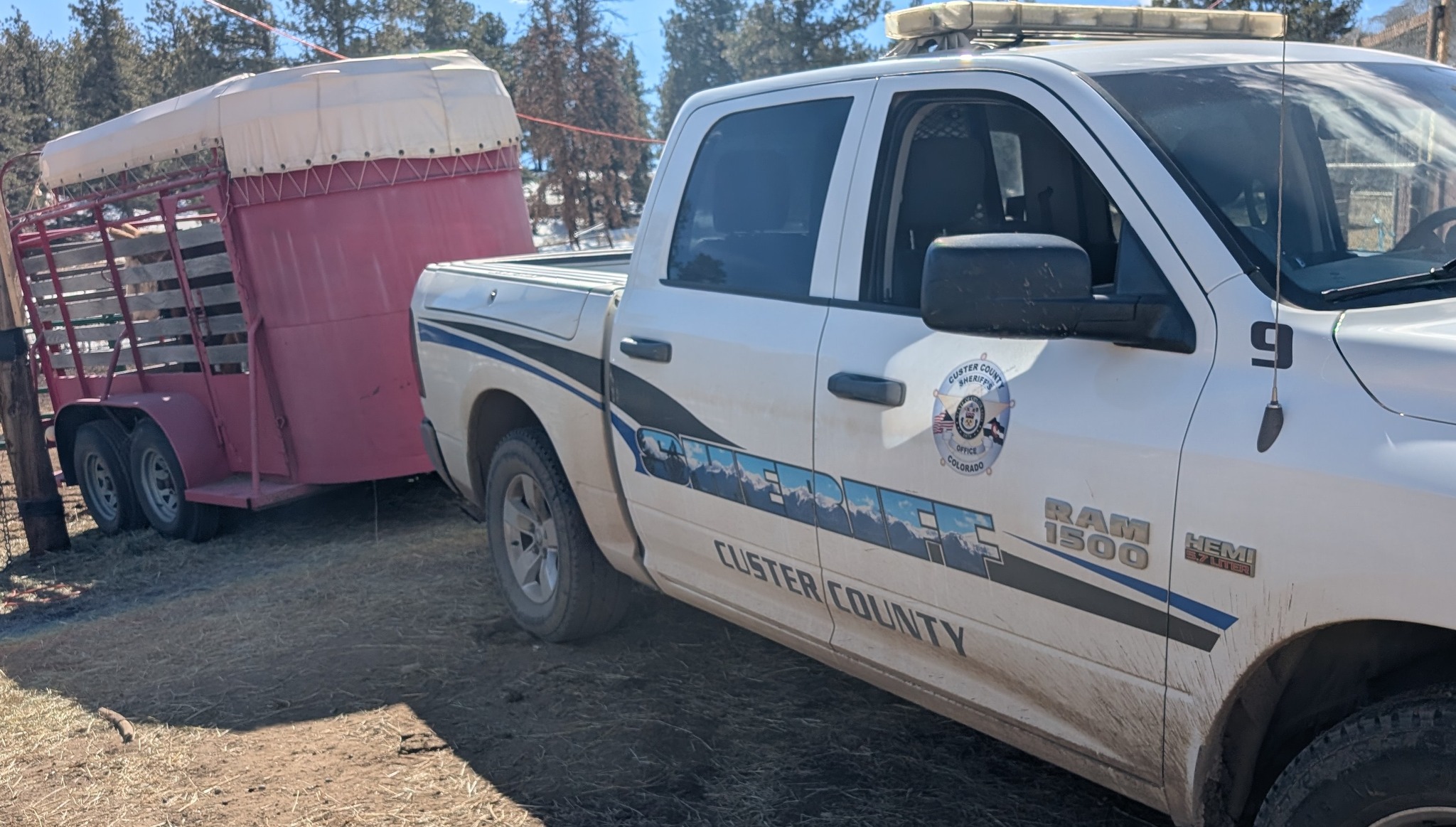 A Custer County Sheriff's Office pickup truck with a horse trailer.