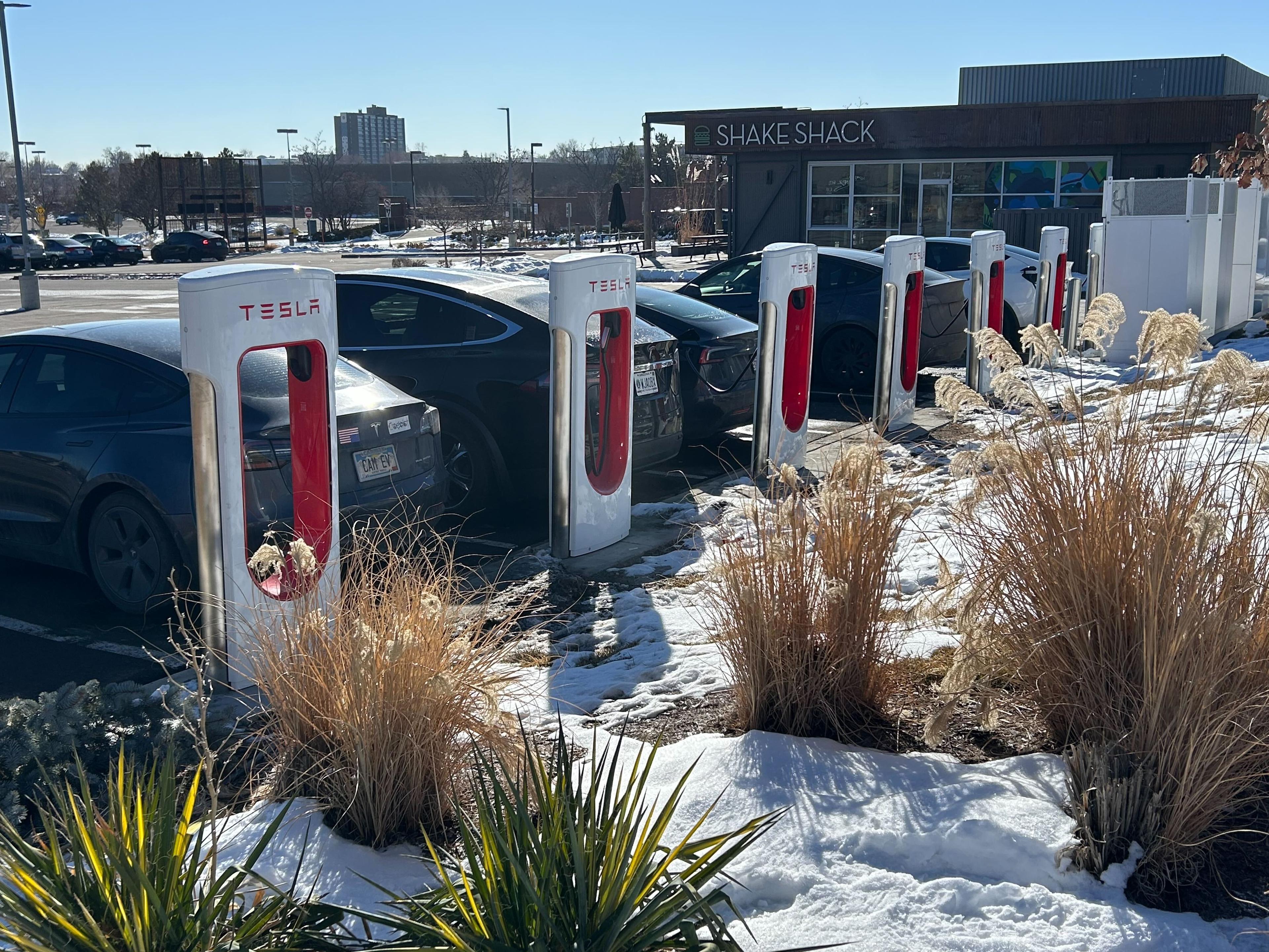 A row of electric car chargers stand in snow with winter bushes in the foreground.