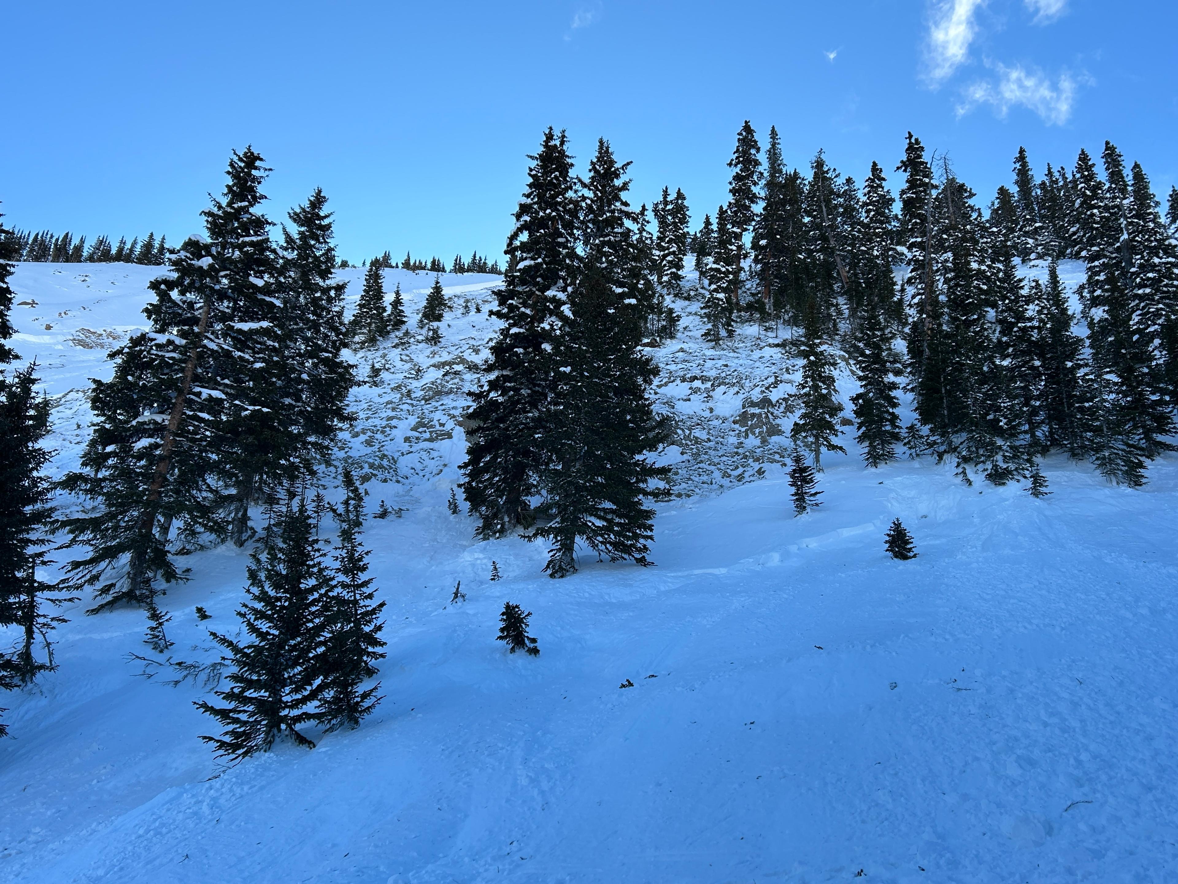 Looking uphill at the avalanche that killed a backcountry rider.