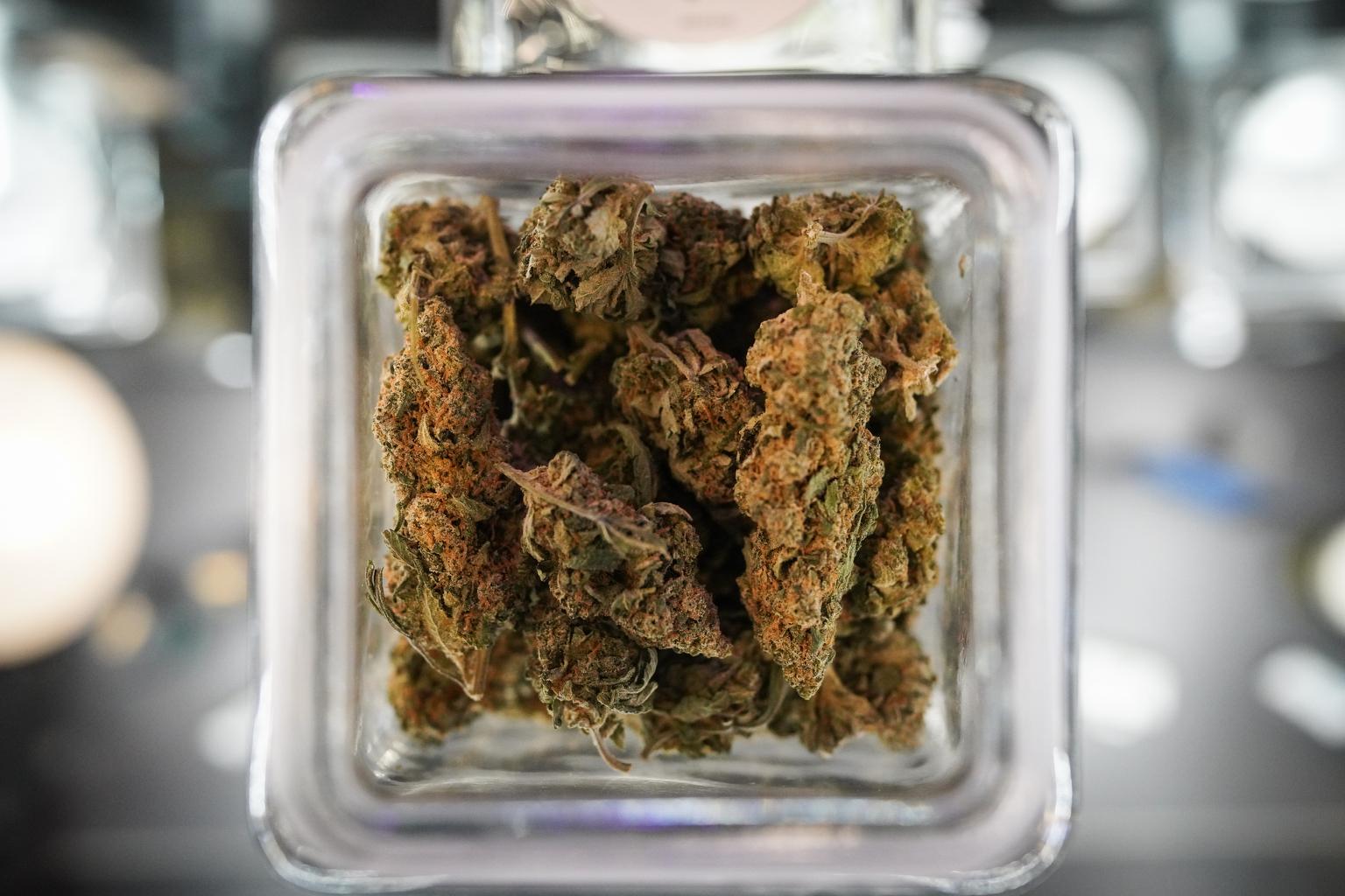 Marijuana buds in a container