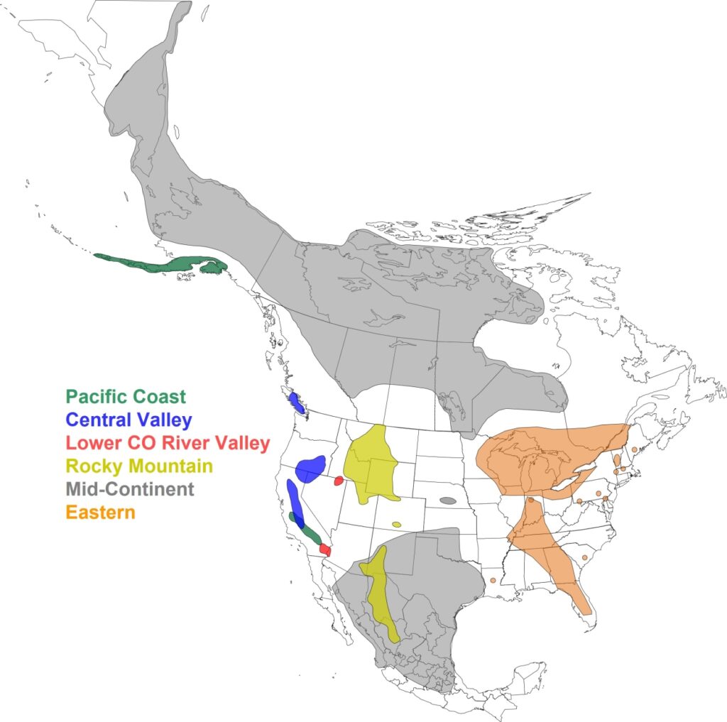 Sandhill crane populations map